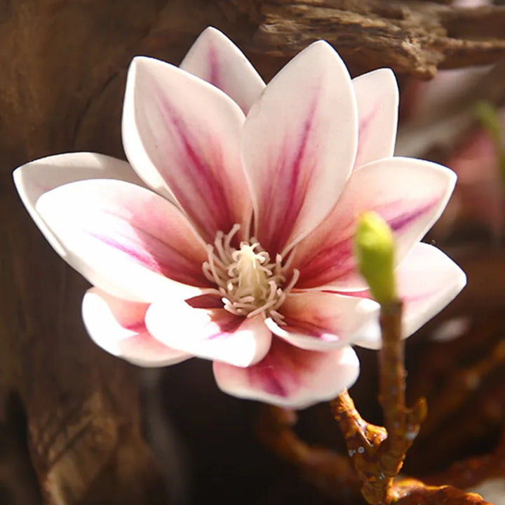 Skanto | Künstliche Magnolienblüten