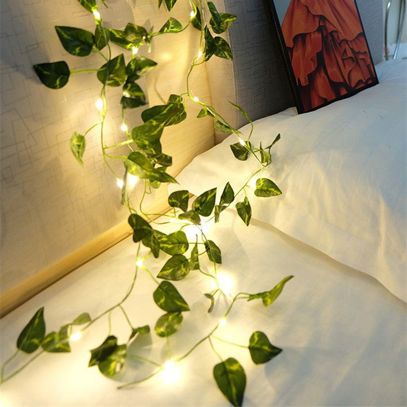Skanto | Skanto LED-Lichterketten