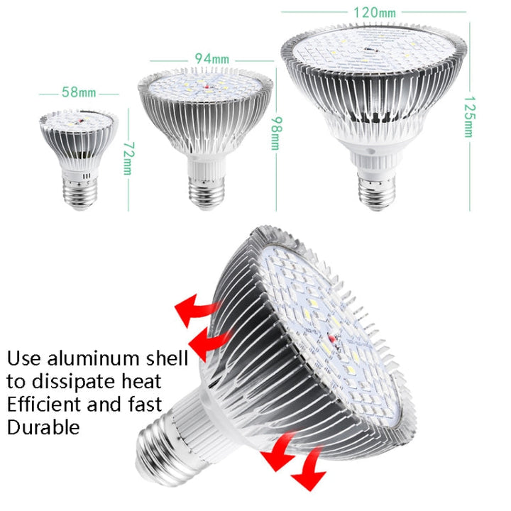 Skanto | Skanto LED Pflanzenlampe Vollspektrum E27 Pflanzenlicht, Leistung: 30W 40 Lampenperlen
