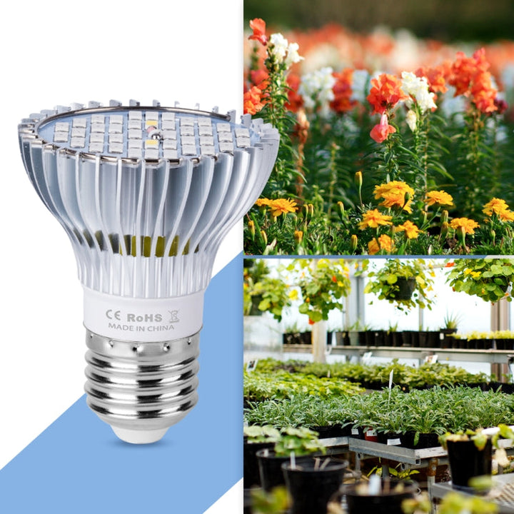 Skanto | Skanto LED Pflanzenlampe Vollspektrum E27 Pflanzenlicht, Leistung: 30W 40 Lampenperlen