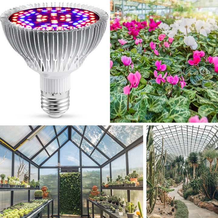 Skanto | Skanto LED Pflanzenlampe Vollspektrum E27 Pflanzenlicht, Leistung: 30W 40 Lampenperlen