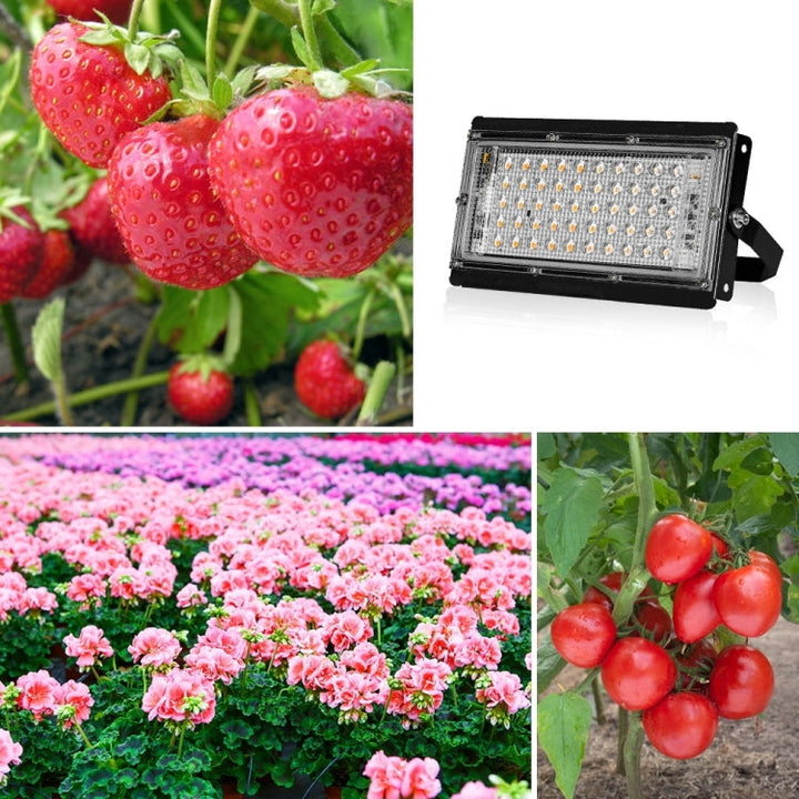 Skanto | LED Pflanzenlampe Vollspektrum Wasserdichte Grow Light EU Stecker 144 Beads 200W