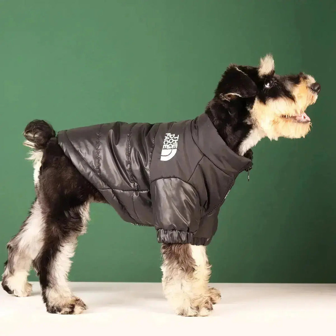 Hunde-Winterjacke | Gefüttert und Winddicht