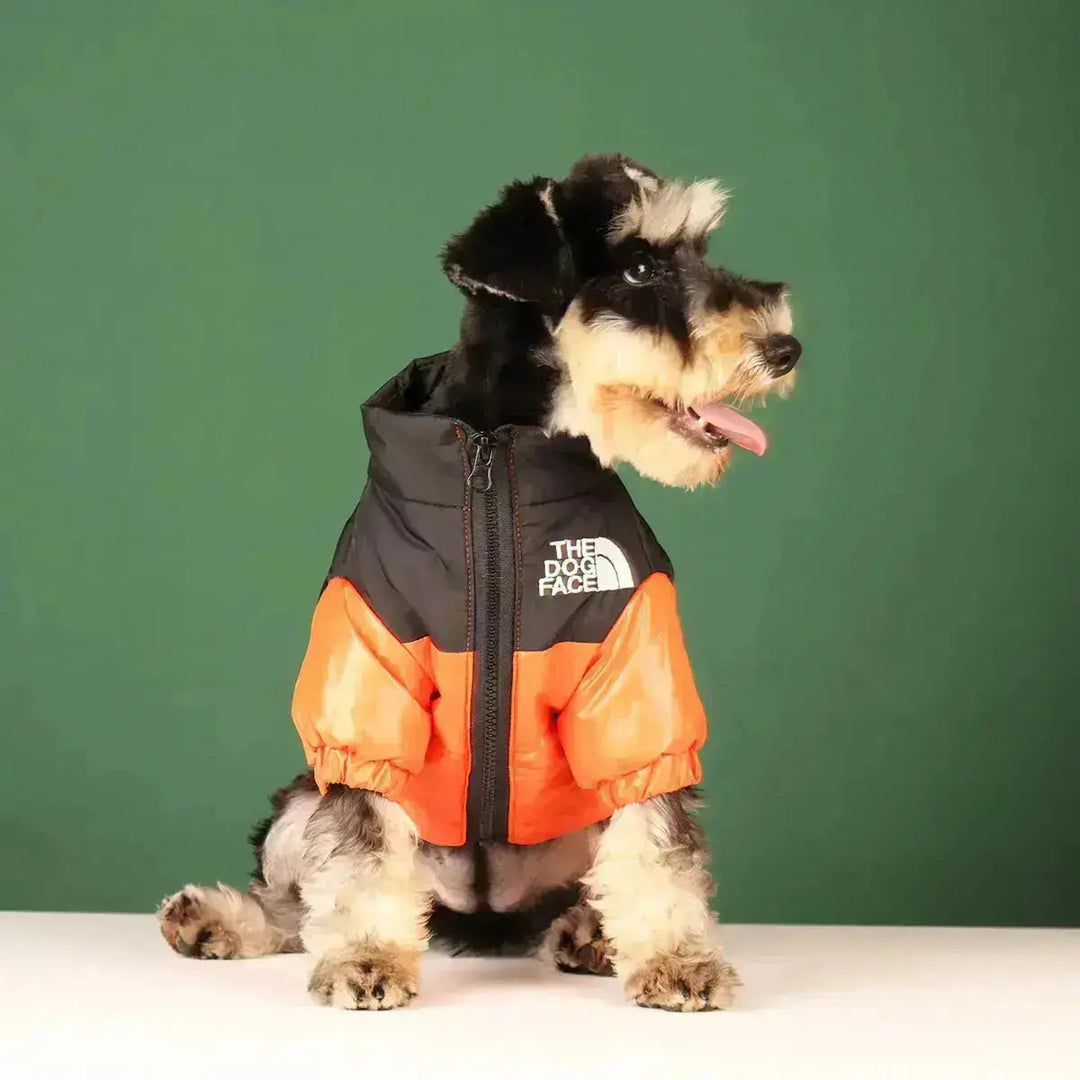 Hunde-Winterjacke | Gefüttert und Winddicht