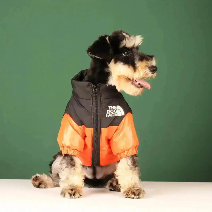 Hunde-Winterjacke | Gefüttert und Winddicht