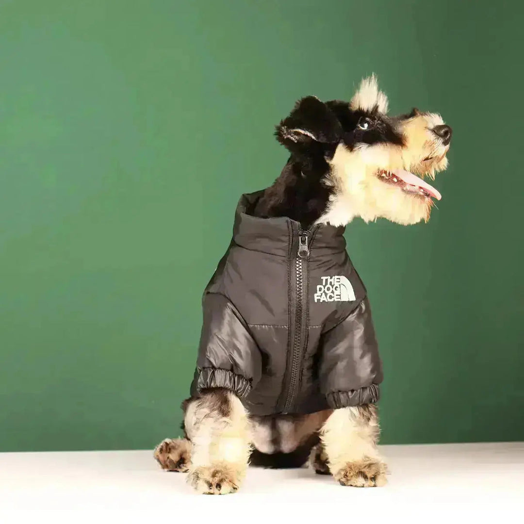 Hunde-Winterjacke | Gefüttert und Winddicht