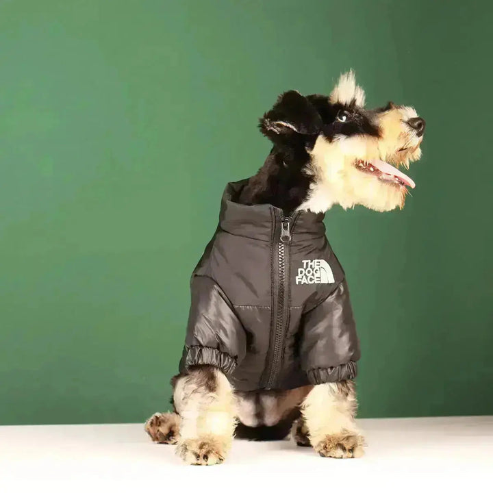 Hunde-Winterjacke | Gefüttert und Winddicht