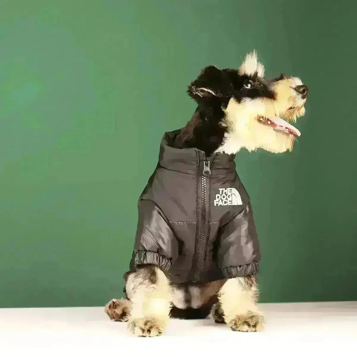 Hunde-Winterjacke | Gefüttert und Winddicht