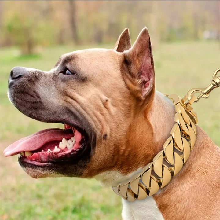 Skanto | Strength Collar Metall-Hundehalsband – Massives Edelstahlhalsband für große Hunde
