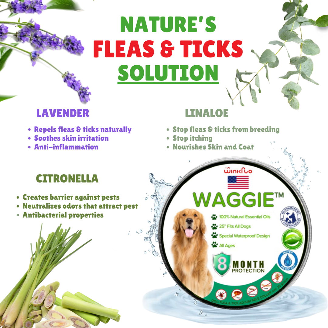 Skanto | Waggie – Natürliches Floh-, Zecken- & Mückenhalsband (Sicherster Schutz für über 8 Monate)