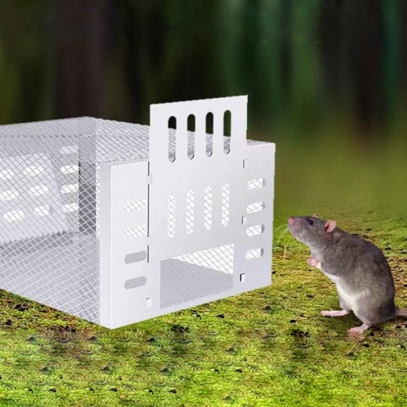Skanto | Skanto Humane Mausefalle für sichere und effektive Schädlingsbekämpfung – Wiederverwendbar, große Kapazität