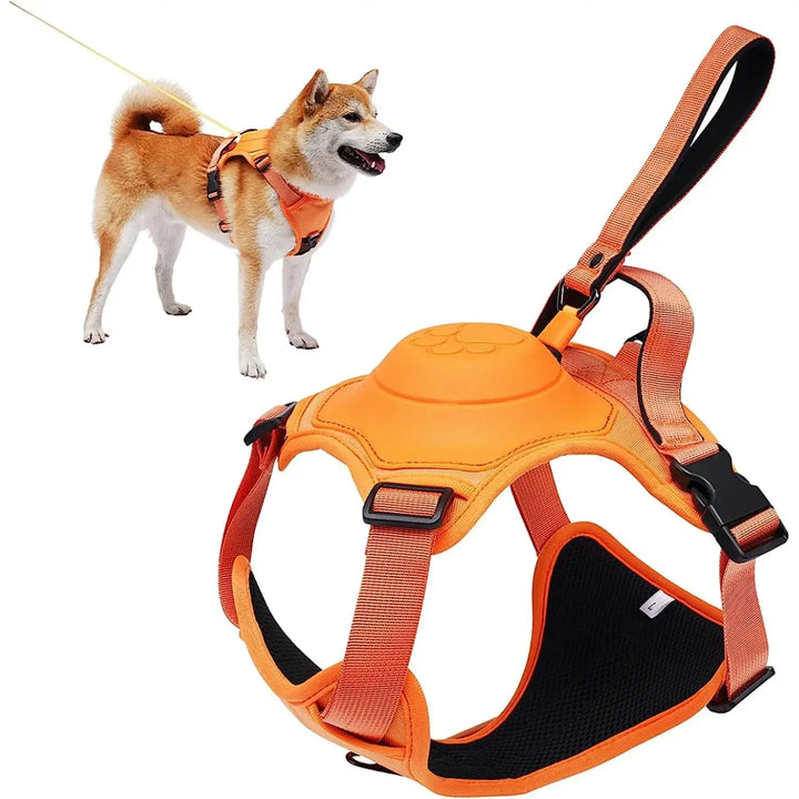 Skanto | All-in-One Hundegeschirr mit einziehbarer Leine