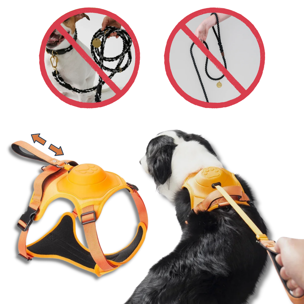 Verstellbares und ergonomisches Hundegeschirr- und Leinen-Set