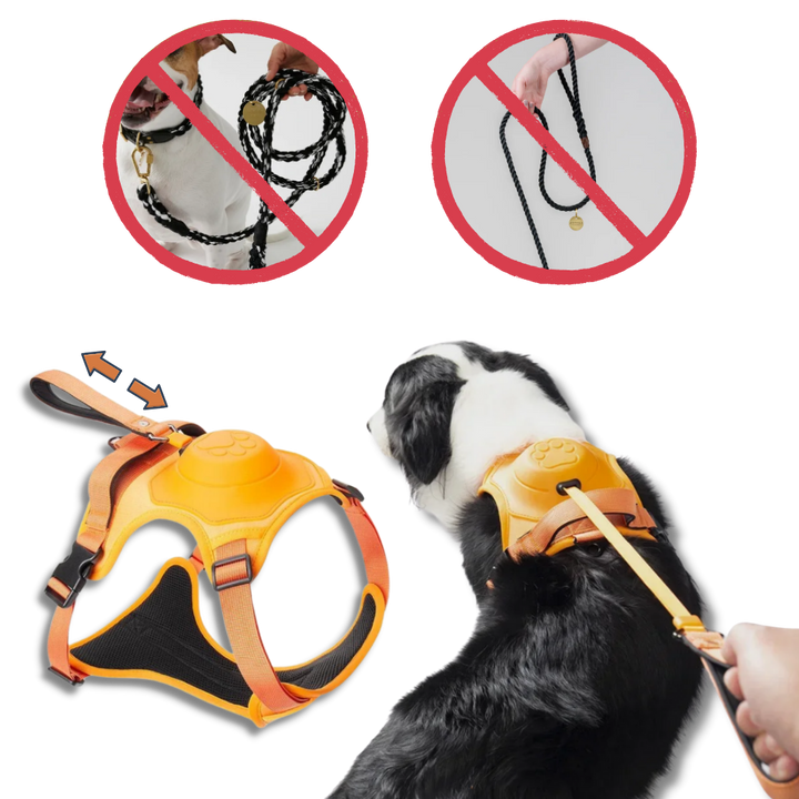 Verstellbares und ergonomisches Hundegeschirr- und Leinen-Set