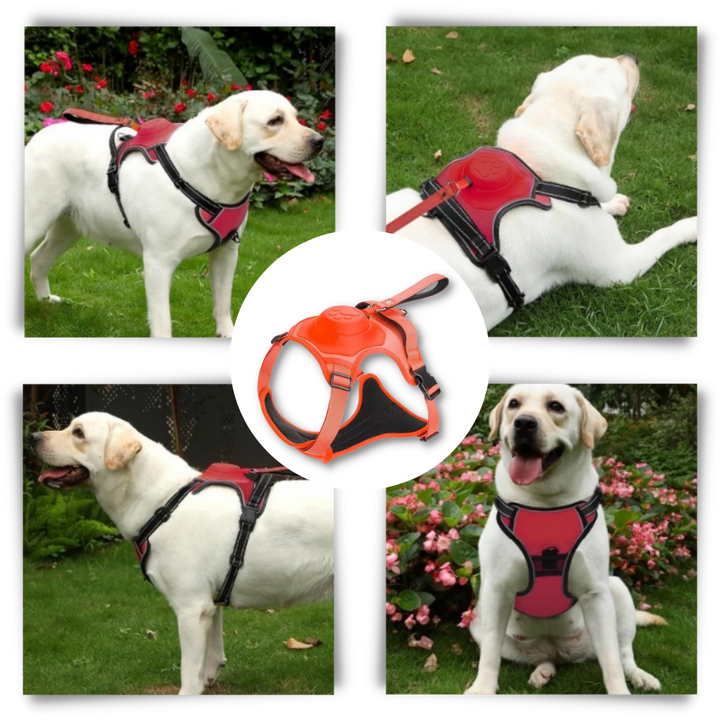 Verstellbares und ergonomisches Hundegeschirr- und Leinen-Set