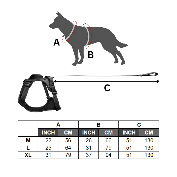 Verstellbares und ergonomisches Hundegeschirr- und Leinen-Set