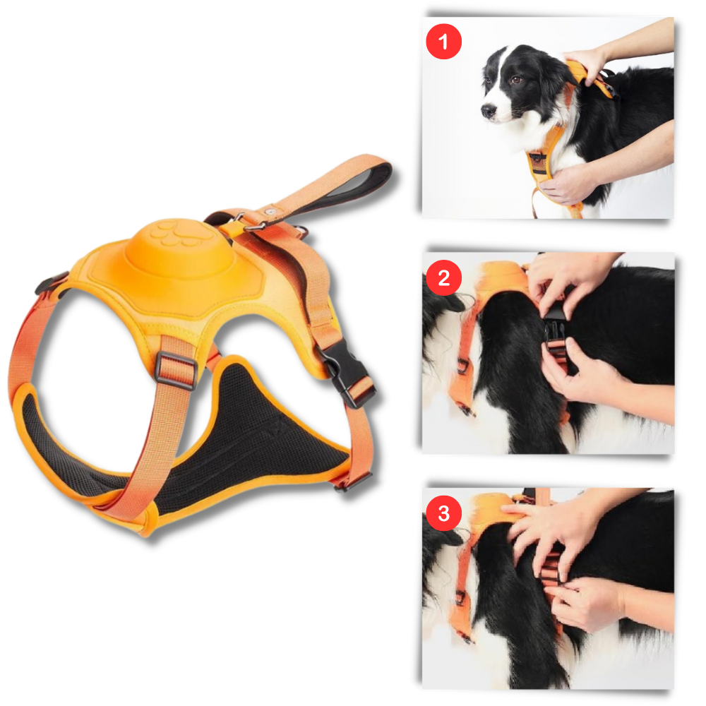 Verstellbares und ergonomisches Hundegeschirr- und Leinen-Set