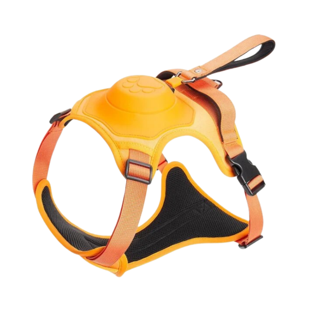 Verstellbares und ergonomisches Hundegeschirr- und Leinen-Set
