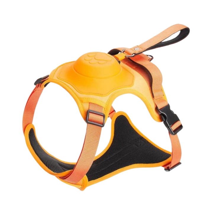 Verstellbares und ergonomisches Hundegeschirr- und Leinen-Set