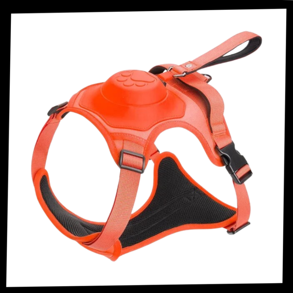 Verstellbares und ergonomisches Hundegeschirr- und Leinen-Set