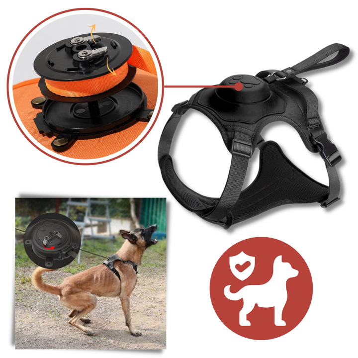 Verstellbares und ergonomisches Hundegeschirr- und Leinen-Set