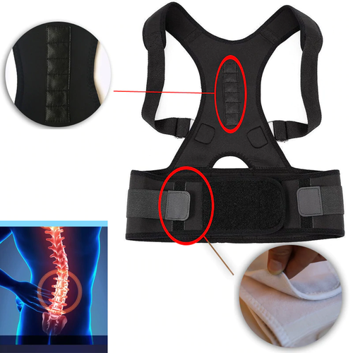 Skanto | Rückenstütze - Korrektur und Magnettherapie für einen gesunden Rücken