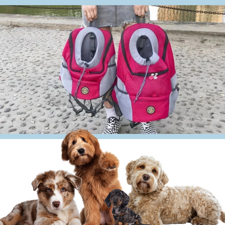 Atmungsaktiver Hunde-Tragerucksack