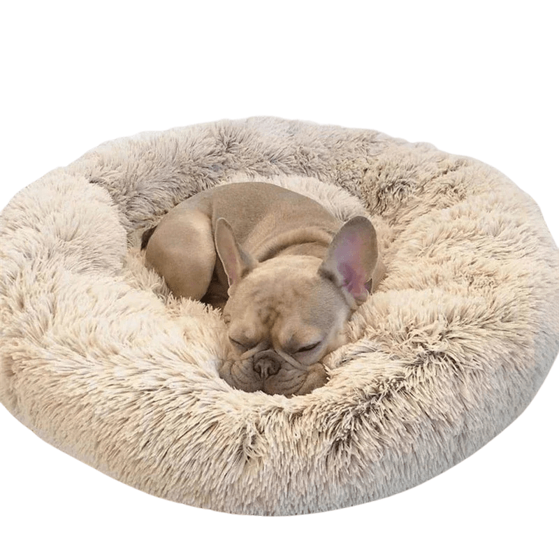 Skanto | SLUMBERPAWS BED – Beruhigendes Hundebett für tiefen, erholsamen Schlaf