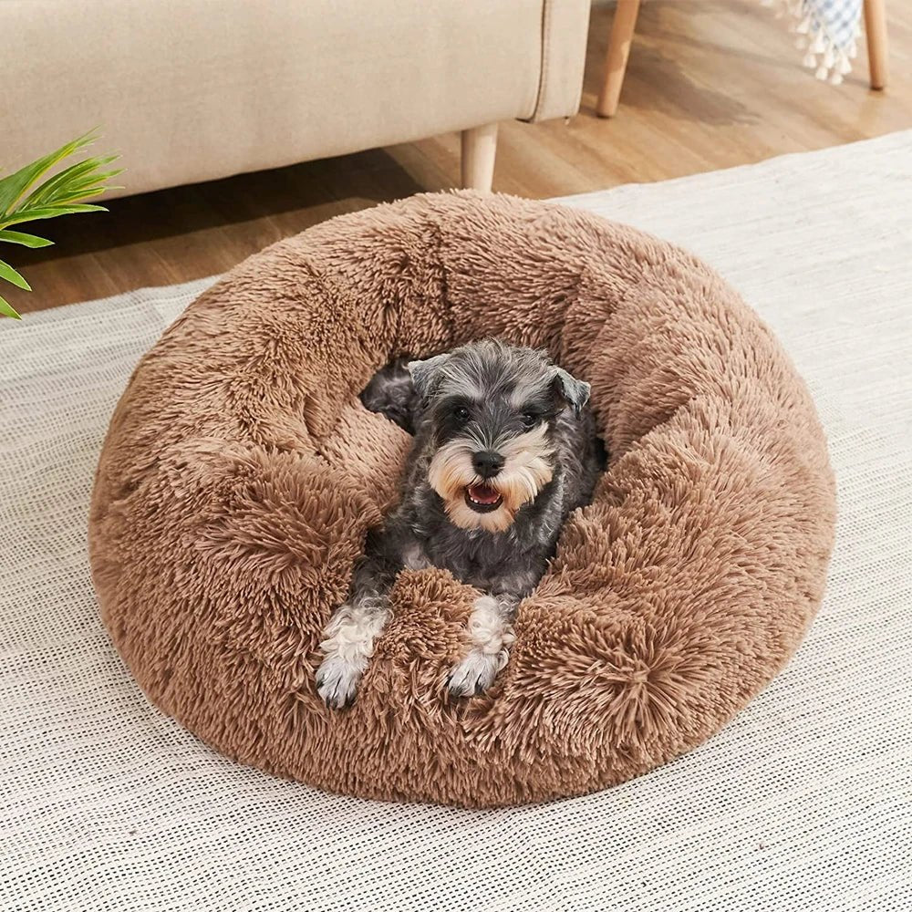 Skanto | SLUMBERPAWS BED – Beruhigendes Hundebett für tiefen, erholsamen Schlaf