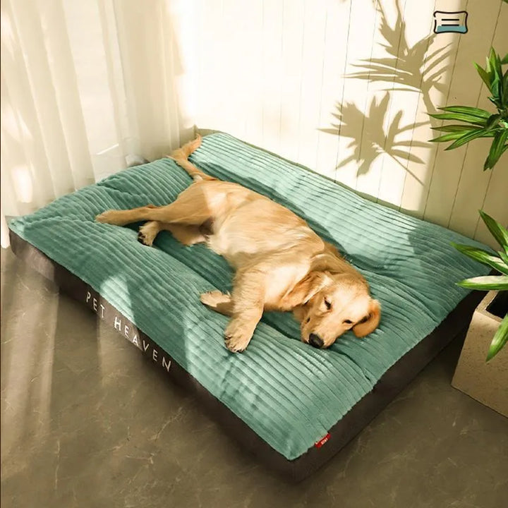Skanto | DreamRest Orthopädisches Hundebett – Flauschiger, stützender & waschbarer Komfort