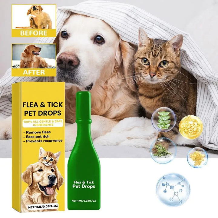 Skanto | Katzenflohbehandlung für Zuhause