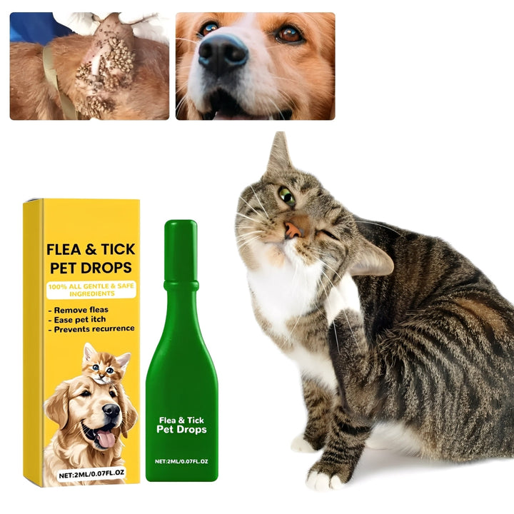 Skanto | Katzenflohbehandlung für Zuhause