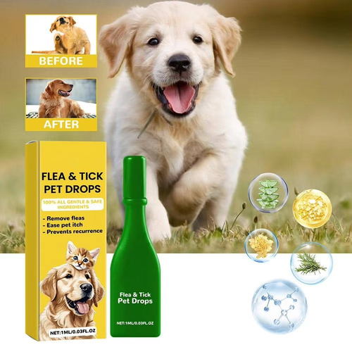 Skanto | Katzenflohbehandlung für Zuhause