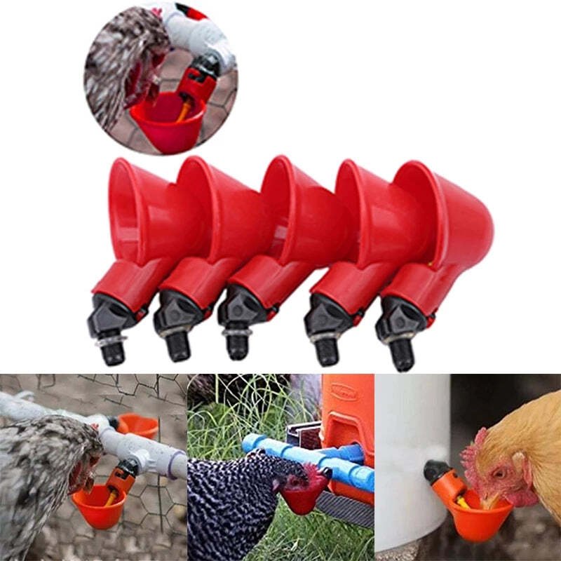 Norvo | Automatische Hühnertränke für Vogelstall