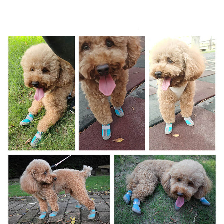 Skanto Skanto | Robuste Outdoor Hundeschuhe mit Mesh - Allzweck Pfotenschutz