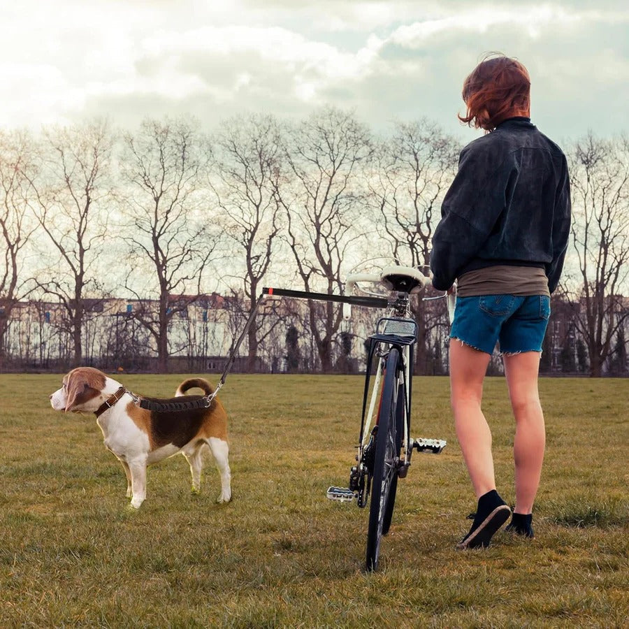 Skanto | Fahrrad-Hundeleine zum Ziehen