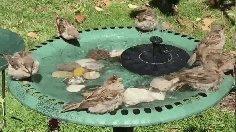 TranquilFlow – Beruhigender Gartenbrunnen mit Solarlicht Skanto