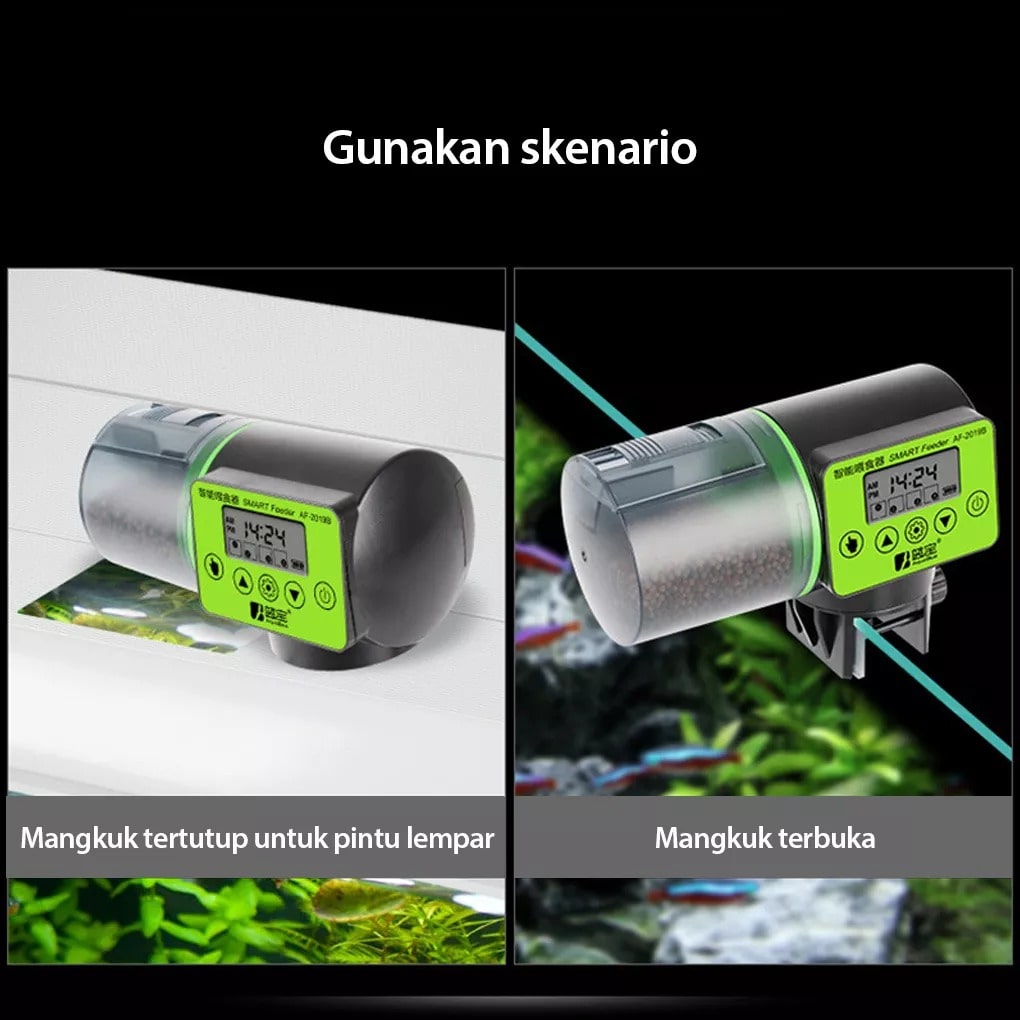 Skanto Skanto | Intelligenter automatischer Fischfutterautomat