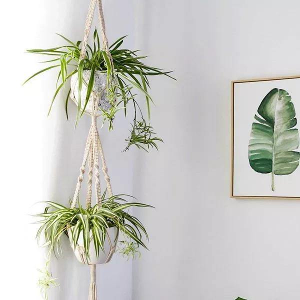 Skanto | 4-teiliges handgefertigtes Boho Makramee Pflanzenhänger-Set