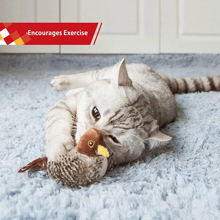 Singvogel-Spielzeug für Katzen Norvo