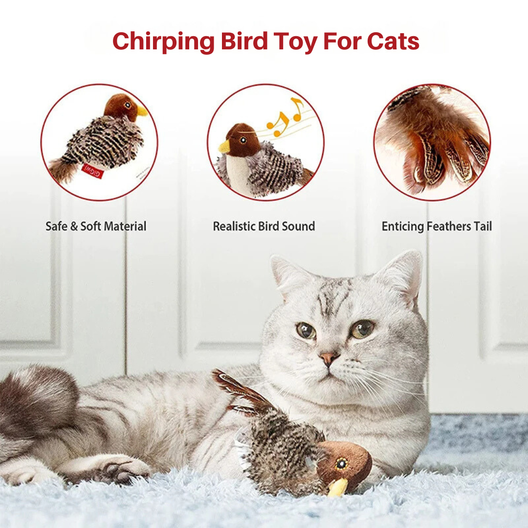 Singvogel-Spielzeug für Katzen Norvo