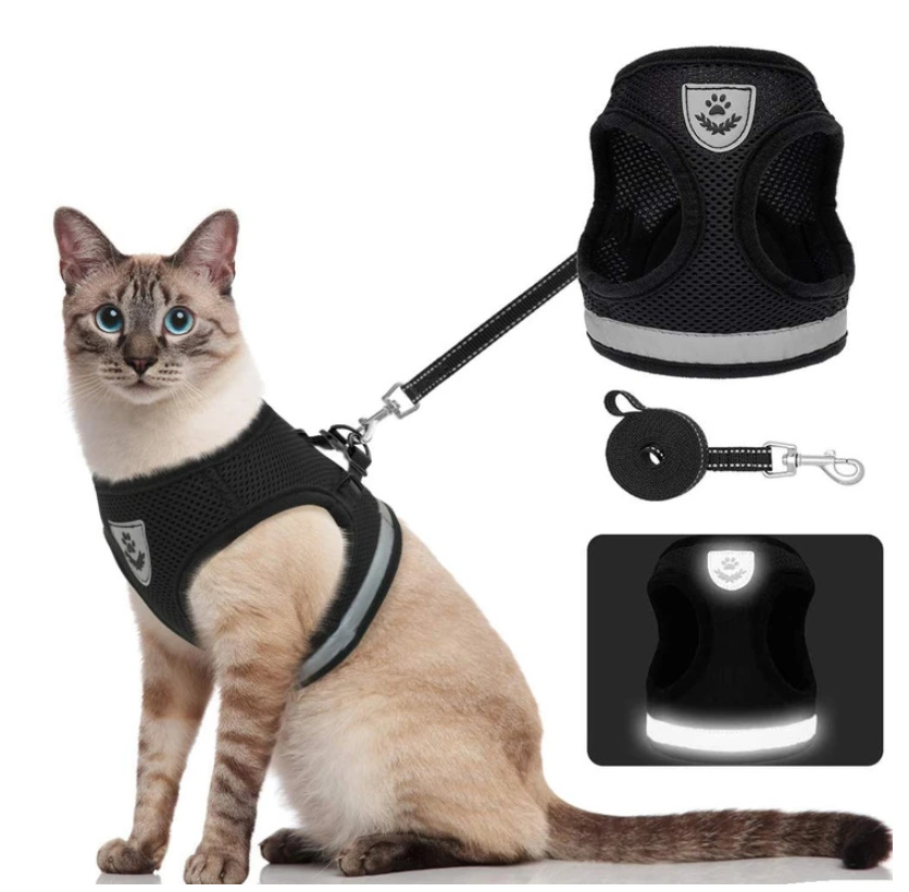 Skanto | Abenteuer-Set – Sicheres Geschirr für abenteuerlustige Katzen