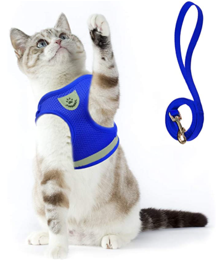 Skanto | Abenteuer-Set – Sicheres Geschirr für abenteuerlustige Katzen