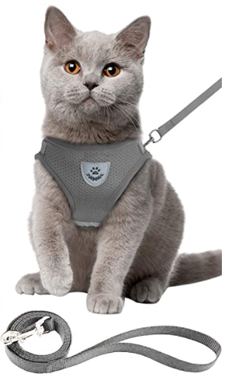 Skanto | Abenteuer-Set – Sicheres Geschirr für abenteuerlustige Katzen