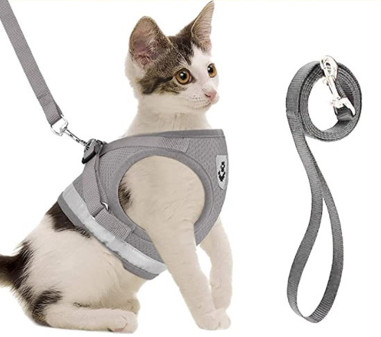 Skanto | Abenteuer-Set – Sicheres Geschirr für abenteuerlustige Katzen