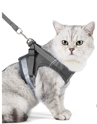 Skanto | Abenteuer-Set – Sicheres Geschirr für abenteuerlustige Katzen