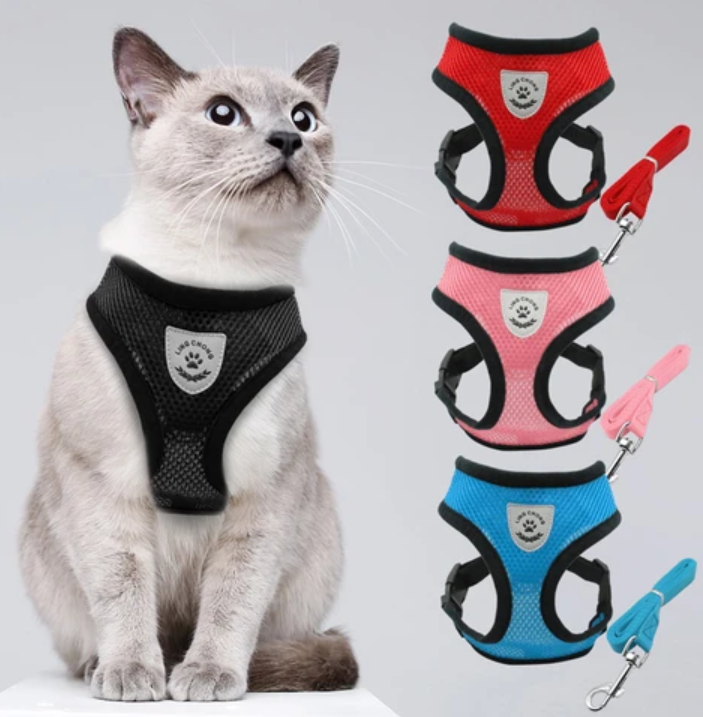 Skanto | Abenteuer-Set – Sicheres Geschirr für abenteuerlustige Katzen