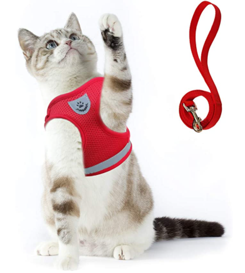 Skanto | Abenteuer-Set – Sicheres Geschirr für abenteuerlustige Katzen