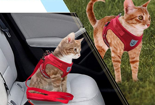 Skanto | Abenteuer-Set – Sicheres Geschirr für abenteuerlustige Katzen