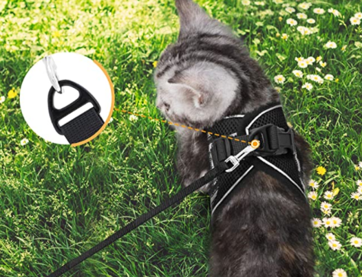 Skanto | Abenteuer-Set – Sicheres Geschirr für abenteuerlustige Katzen